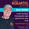 Dana Riddle expo.png